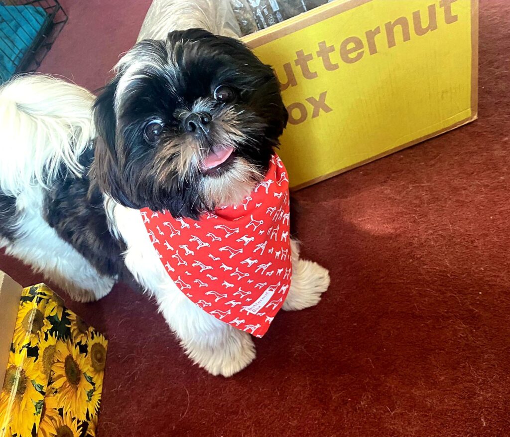 Butternut Box Dog Food Review and Honest Insights - Zero Waste Llama
