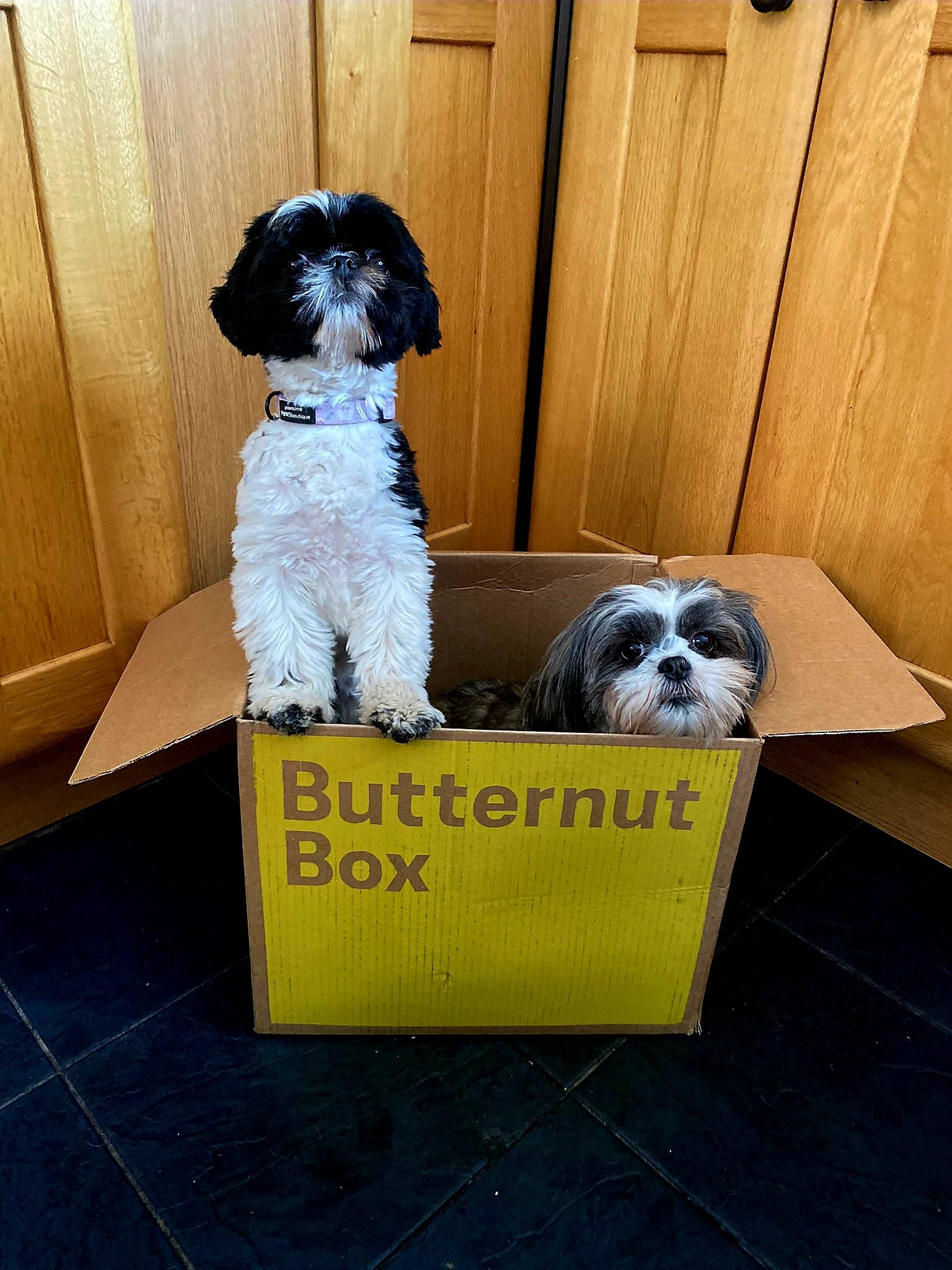 Butternut Box Dog Food Review and Honest Insights - Zero Waste Llama