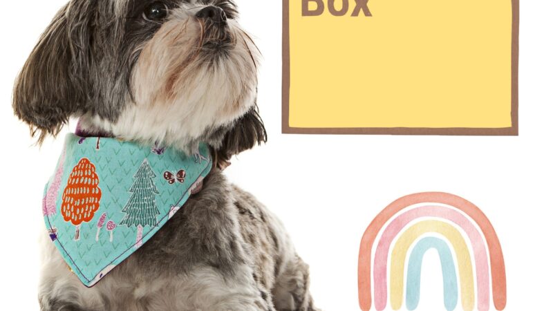 Butternut Box lover, Rainbow ©ZeroWasteLlama 2022