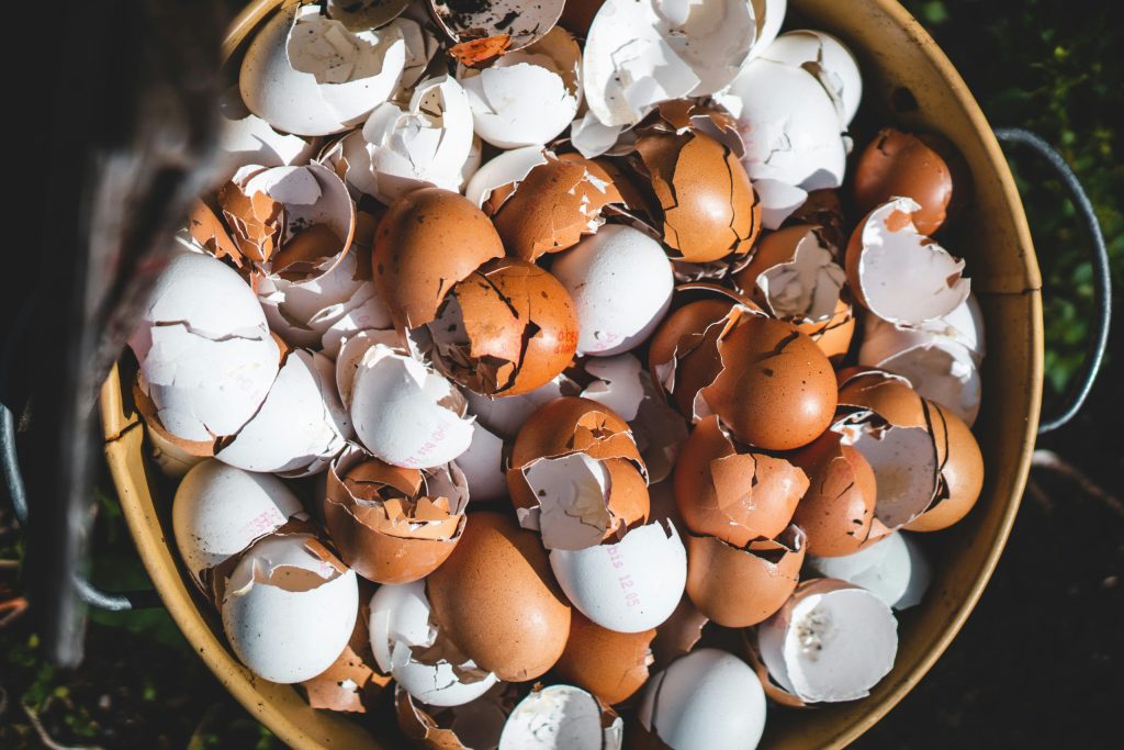 Egg shells, ready to compost