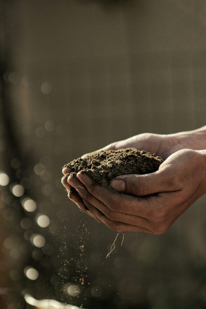Hands holding fertile soil