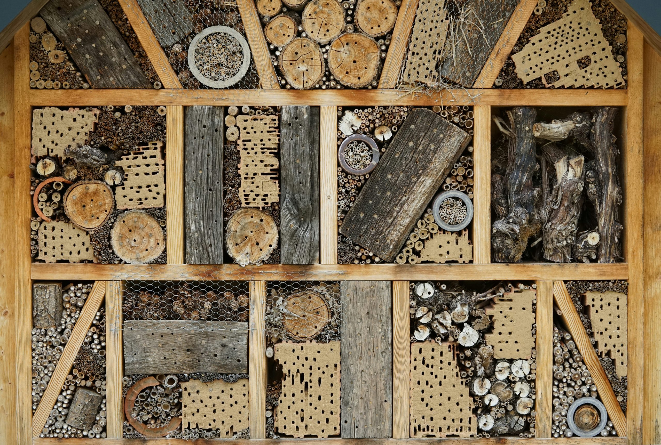 Bug Hotel. Bamboo and other wood and sticks of various diameters stacked into different segments.