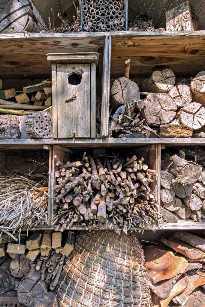 Bee or Bug Hotel.. bamboo and other wood and sticks of various diameters stacked into different segments.