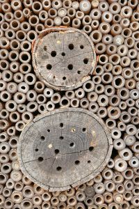 Bee or Bug Hotel.. bamboo and other holey wood stacked.