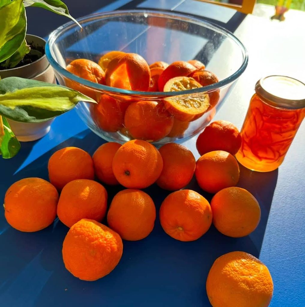 Orange Marmalade preparation 0 Oranges and a jar of finished marmalade.