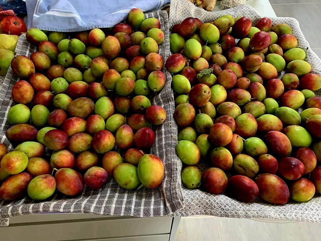 Plums & Greengages before preparation